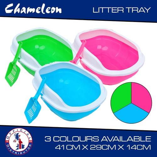 Cat kitten litter tray - litter,