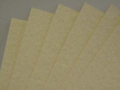 Parchment heavyweight - 20,