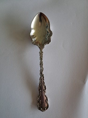 Lee wigfull w silver - lee,