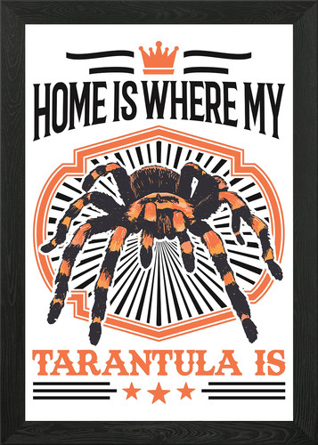 Home where tarantula - where,