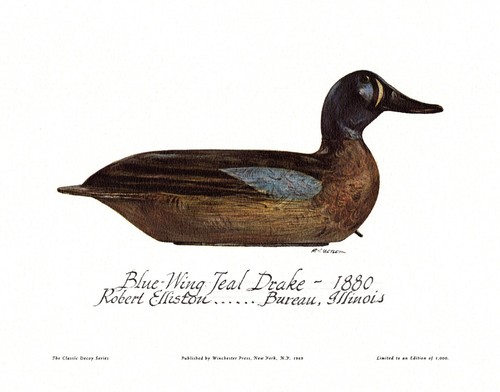 Blue wing teal decoy - blue,