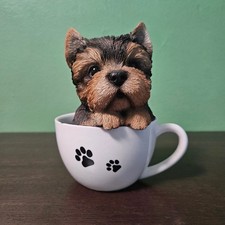 Yorkshire Terrier Puppy Teacup