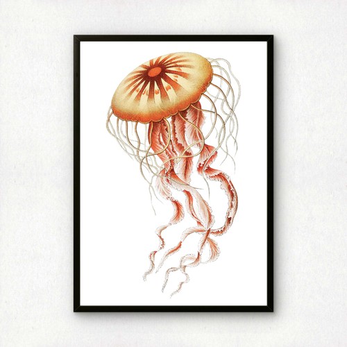 Ernst haeckel remixed art - ernst,