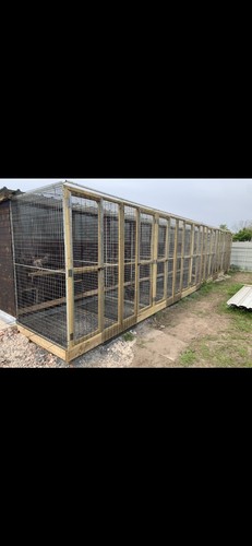 Large chicken hut - chicken,