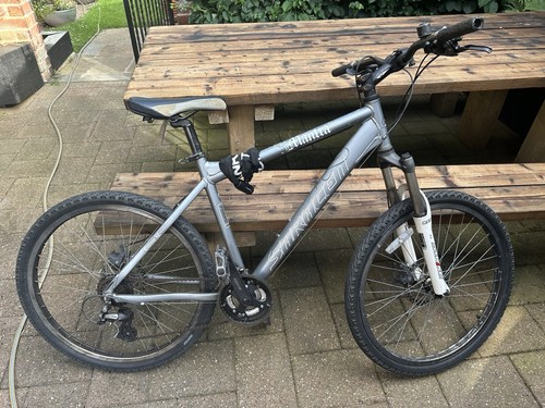Mountain bike - mountain,