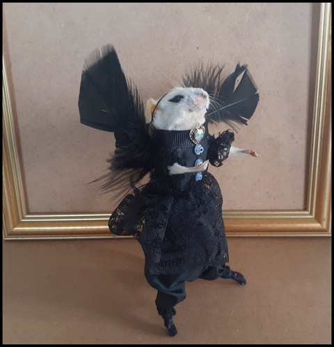 Taxidermy mouse gothic angel - gothic,