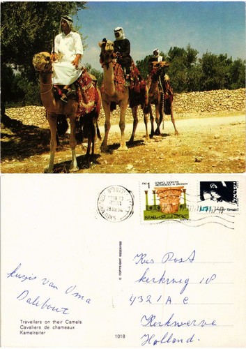 Cpm israel camel riders - ak,