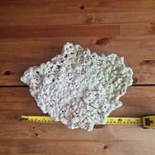 Live dry Marine Rock - Large