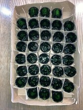 36 x Jagermeister Shot Glasses NEW Green 25 Cl Jagerbomb Bar Man Cave Party  