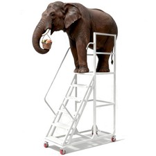 Metal Rolling Ladder 6-Step