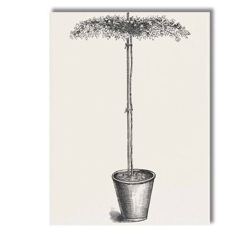 Canvas wall art decor - decor, picture