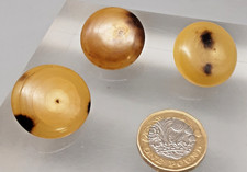 3 Vintage Horn? / Antler? Domed  Round Buttons - 2.5cm approx
