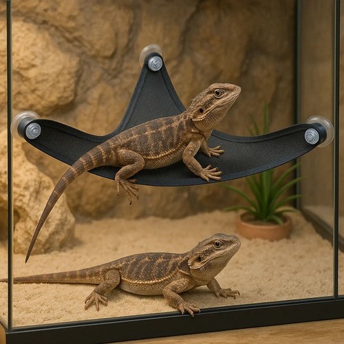 Lizard hammock reptile - lizard, mesh