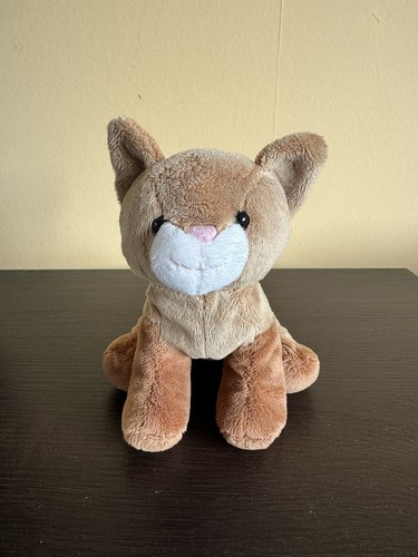 Sainsburys little brown - little, kitten