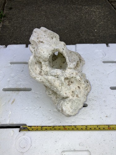 Pl5 dry tonga - tonga, 1.5kg