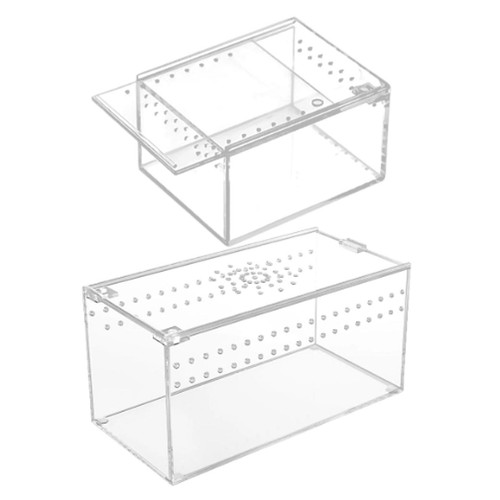 Reptile terrarium acrylic - reptile,