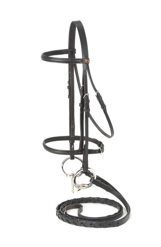 Draft horse english - draft, and