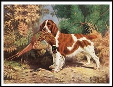 WELSH SPRINGER SPANIEL DOG AND BIRD VINTAGE STYLE DOG ART PRINT POSTER