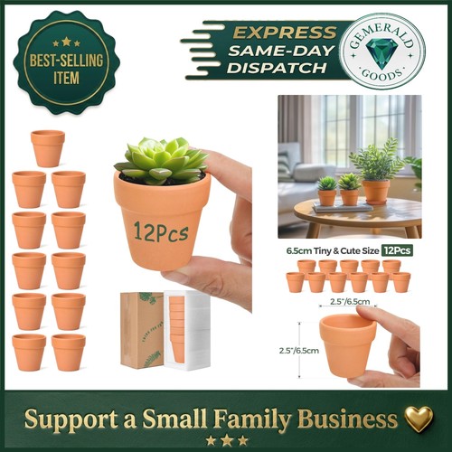 Mini terracotta plant pots - plant,
