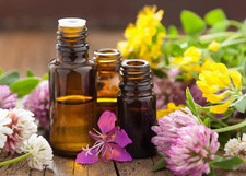 BACH FLOWER REMEDIES (A-M) -