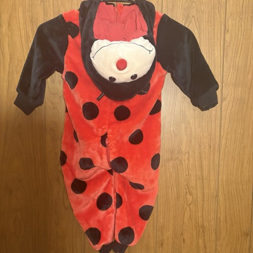 Baby toddler ladybug - baby,