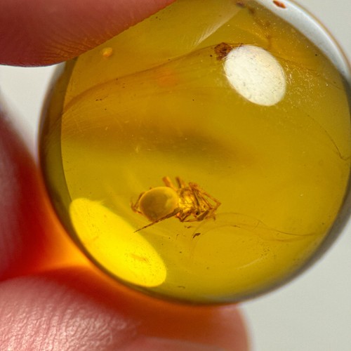 Spider sphere 5mm bead - sphere, 16.5mm