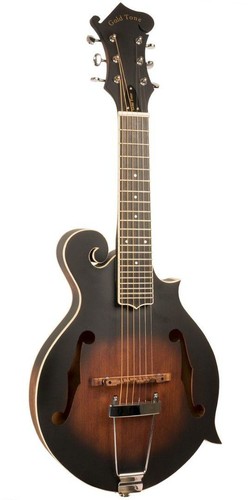 Gold tone style - f-style, mandolin