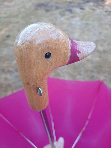 Pink duck head umbrella