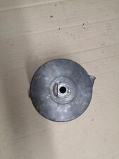 Bottlenose dolphin trout