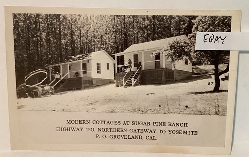 Early sugar pine ranch - early,