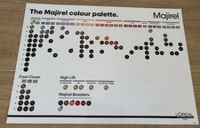 Loreal The Majirel Colour