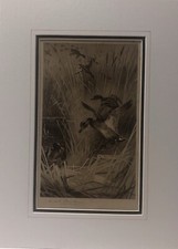 Original etching teal - an, “