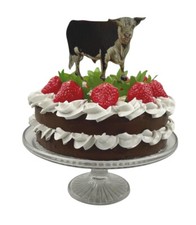 Angus Bull Cake Topper - Angus