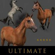 27 Ultimate Horse Racing