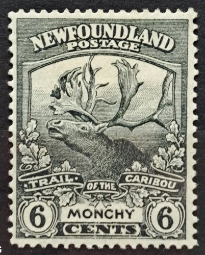 Newfoundland 1919 contingent - newfoundland,