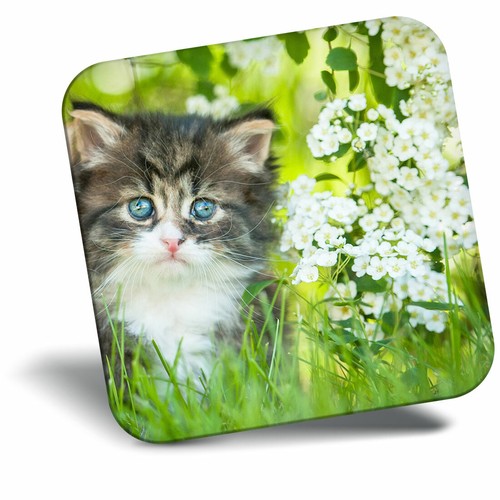 Awesome fridge magnet - awesome,