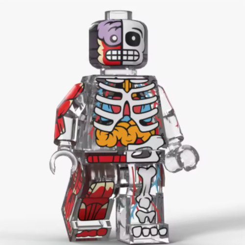 Custom lego anatomy guy - custom,