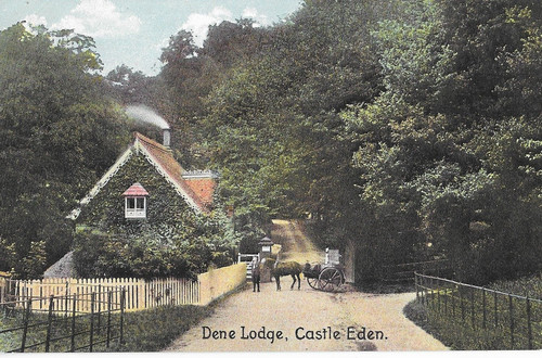 Postcard wo7 dene lodge castle - postcard, wo7-dene