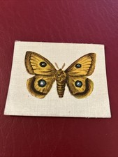 R. J. Lea Butterflies & Moths