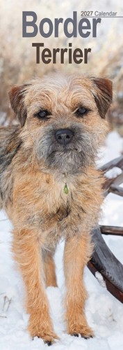 Border terrier slim - border,
