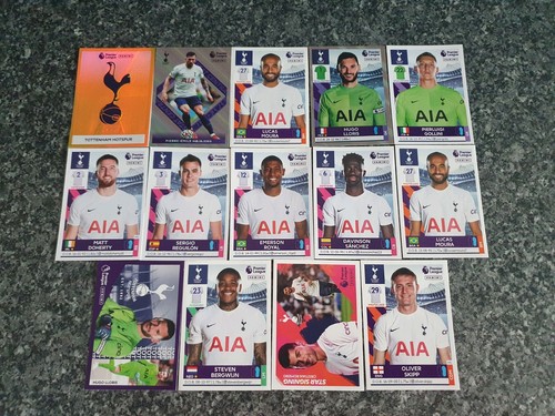 Panini premier league stickers - league,