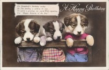 Happy birthday 3 dogs puppies real photo