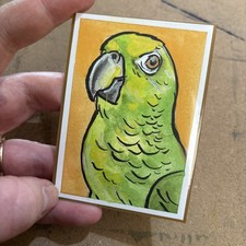 Aceo parrot green - parrot,
