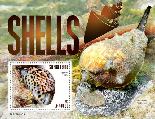 Shells mnh stamps 2019 sierra - stamps,