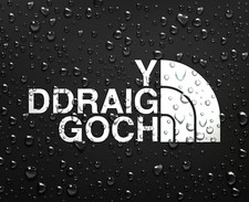 Y DDRAIG GOCH Decal Welsh National Red Dragon Football Team Van Sticker 128x55mm