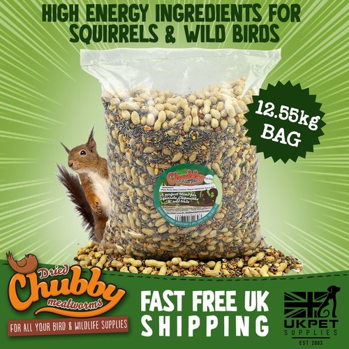 Chubby forest feast - chubby, squirrel