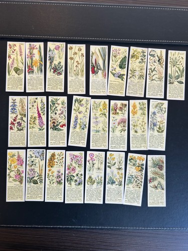 Full set typhoo - full,