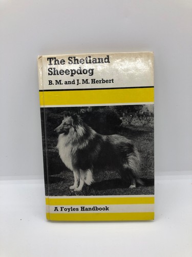 The shetland sheepdog foyles - shetland, a