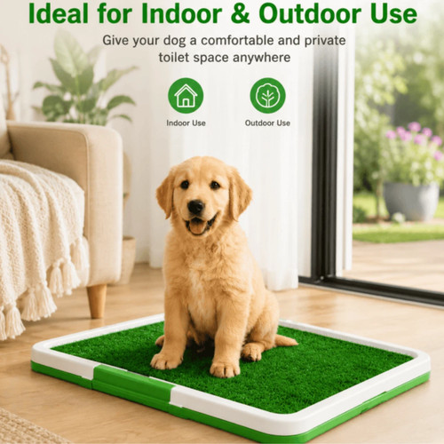 Pet dog toilet - dog, mat