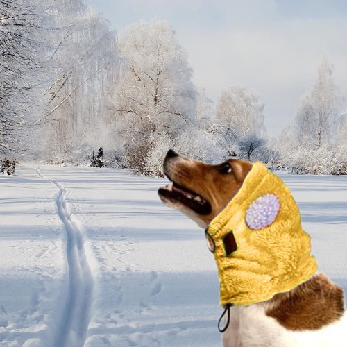 Dog winter hat and - hat, scarf